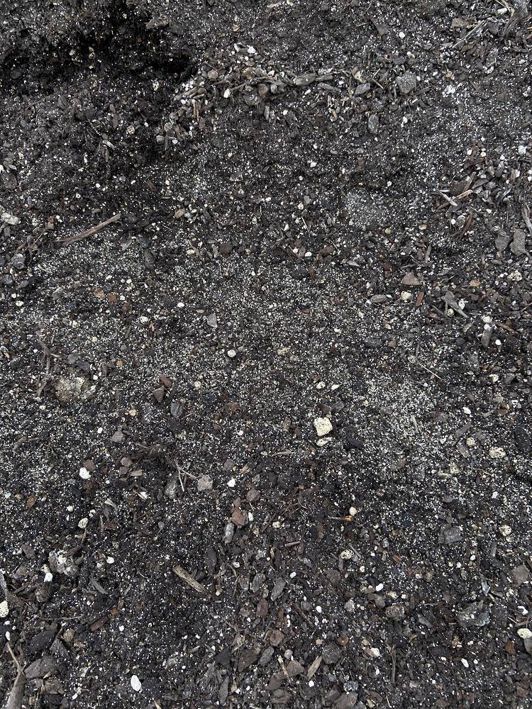 Rain Garden Mix (PRICE PER 1/3M3) image 0